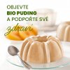 bio puding merunkovy bez lepku lehce stravitelny