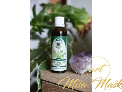 Ostropestřec mar. 50ml (játra, detoxikace, srdíčko, radost ze života)
