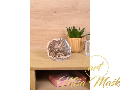 Zkamenělé dřevo plátek č.11