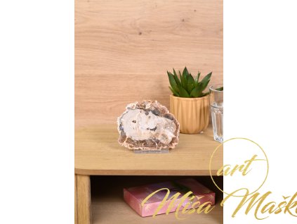 Zkamenělé dřevo plátek č.13