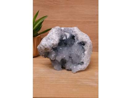 Vzácný andělský celestýn "kámen nebes" drúza (spojení s andělským světem) č.3