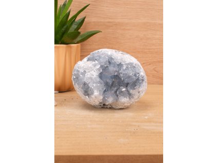 Vzácný andělský celestýn "kámen nebes" drúza (spojení s andělským světem) č.11