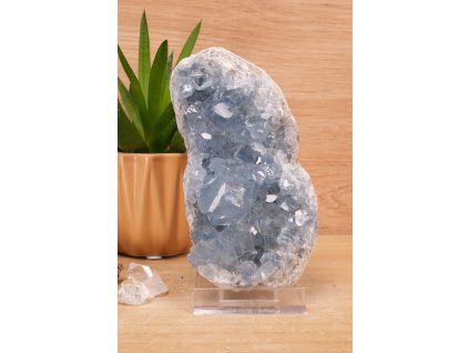 Vzácný andělský celestýn "kámen nebes" drúza (spojení s andělským světem) č.13