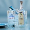 Ouzo Plomari GT 40%0.7l 2