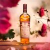 Macallan Harmony Guardian Oak