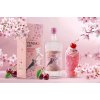 Tenjaku Japan Cherry Gin 37.5%0.7l DIOS ANGELS SHARE