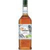 Giffard 1885 Haselnut Sirup 1l
