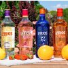 Larios Citrus Gin 37.5%1l