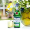 Tanqueray Alcohol Free Gin 0.0%0.7l 3