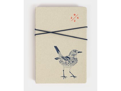 Diář typographicus 2026 Recy