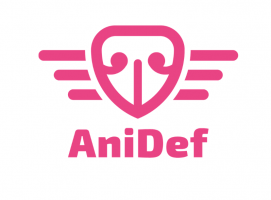                                     AniDef
                            