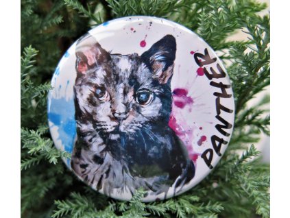placka Panther