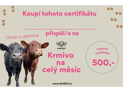 Certifikát J+O