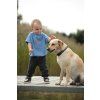 Animal rescue 49