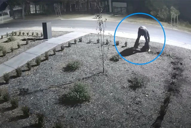 ezgif-2f9368215bf5d3