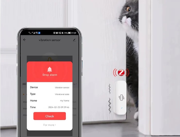 ezgif-81356e7520c2739d