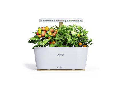 antik smart kvetinac