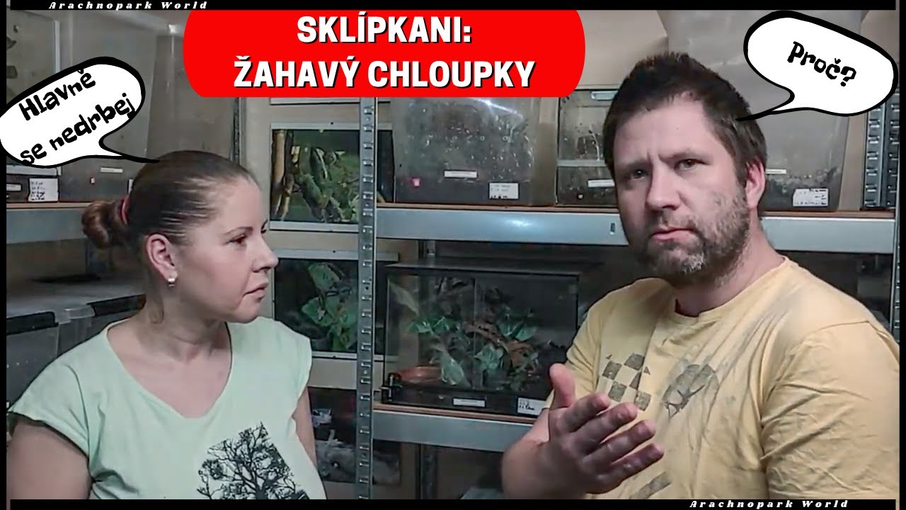 Žahavé chloupky sklípkana