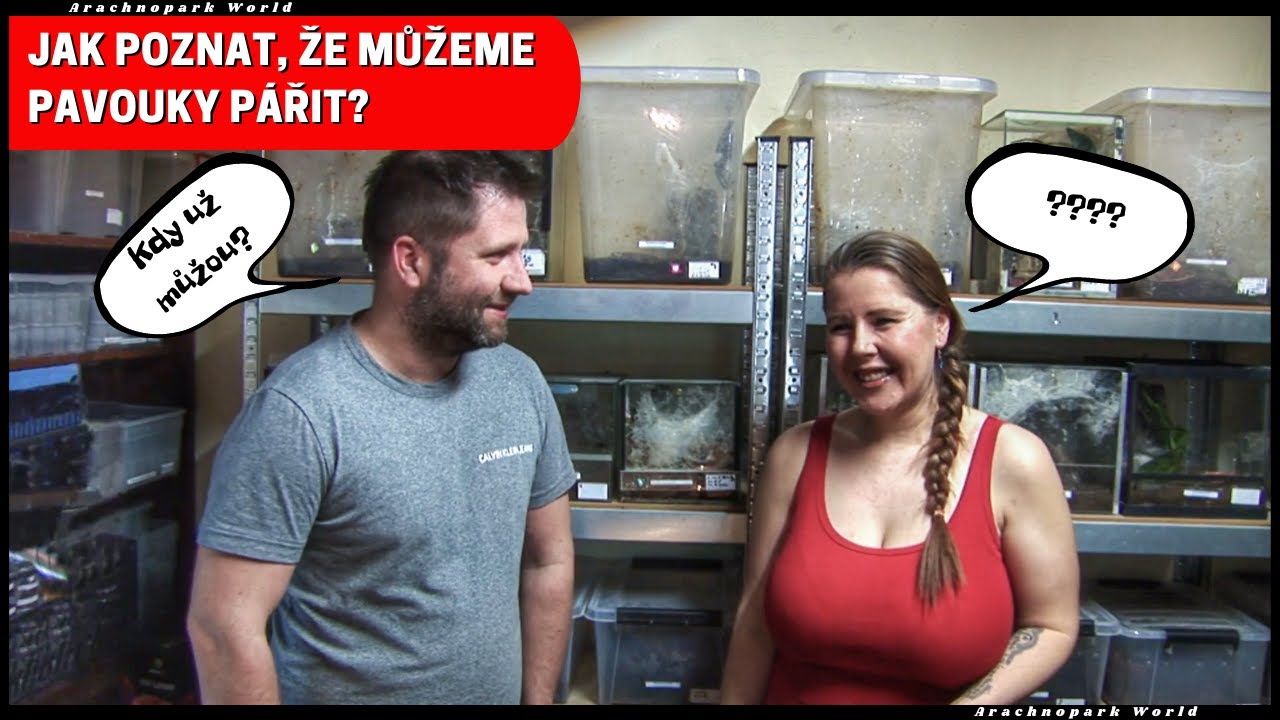 Kdy jsou sklípkani Adult