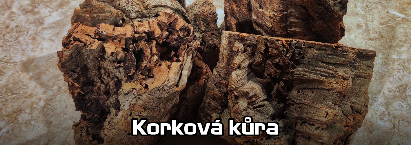 Korková kůra