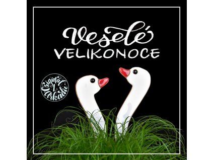 HUSÍ KRKY V TRÁVĚ ÚPRAVA