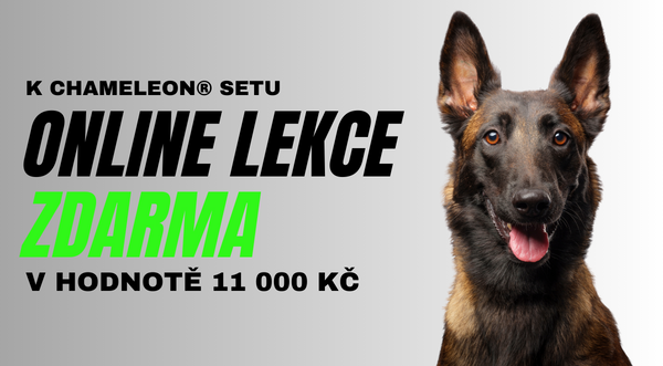 online lekce