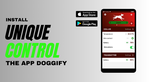 Doggify