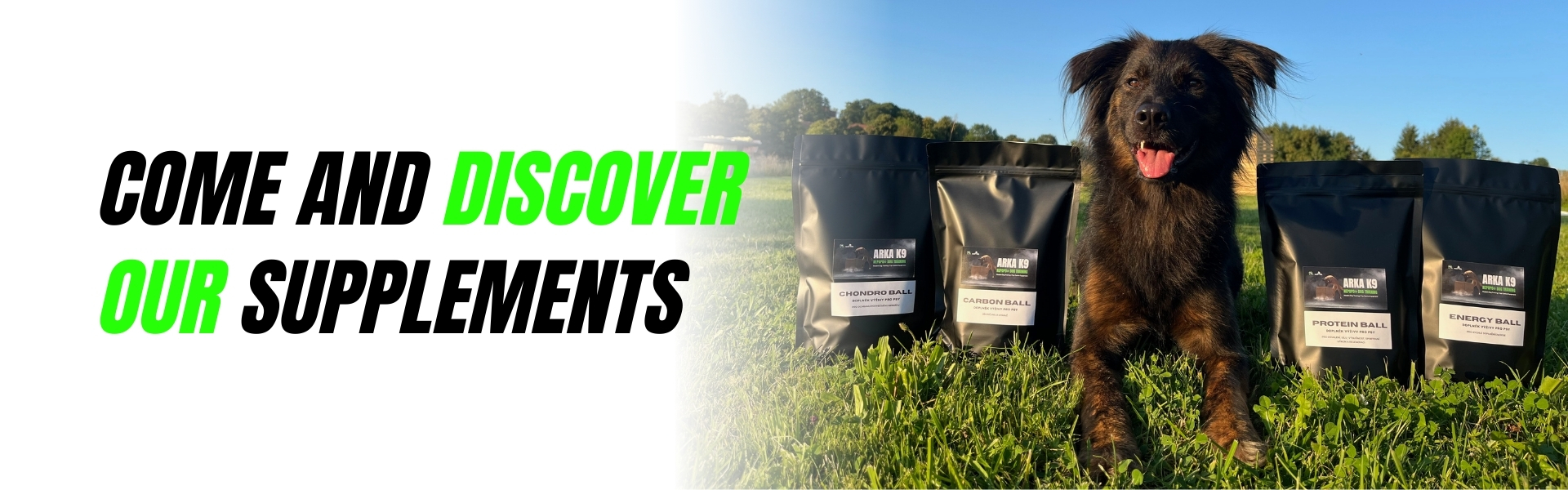 discover