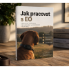 EBOOK: Jak pracovat s EO