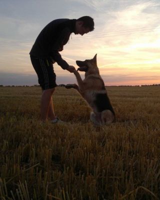 Co se mi honí hlavou, chci se o to s vámi podělit. Před lety si pamatuji, jak jsem trénoval s Arkou na fotbalovém hřišti v...