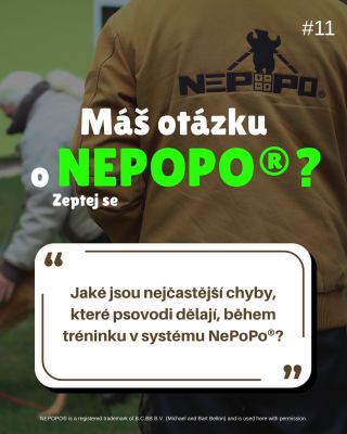 Jeden z nejčastějších problémů, které u NePoPo® v praxi vidím, není technika. Je to pochopení role psa a psovoda....