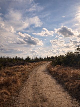 Odpolední výšlap s Raven na Tok v Brdech. Je neuvěřitelné, že kousek od Prahy je taková krásná nerušená příroda.
