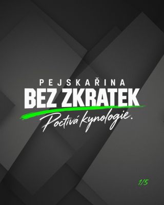 Poslední dobou nad jednou věcí přemýšlím čím dál víc. Mám pocit, že se z kynologie pomalu vytrácí něco, co by podle mě...