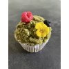 vegan cupcake mechacek