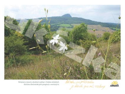 01 rostliny ukazka Page 2