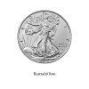 Mince Ag wiener American Eagle 1OZ (1)