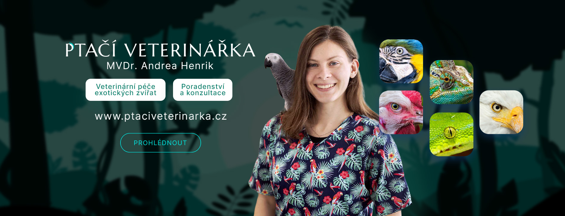 Ptaci a plazi veterinar Hradec Kralove
