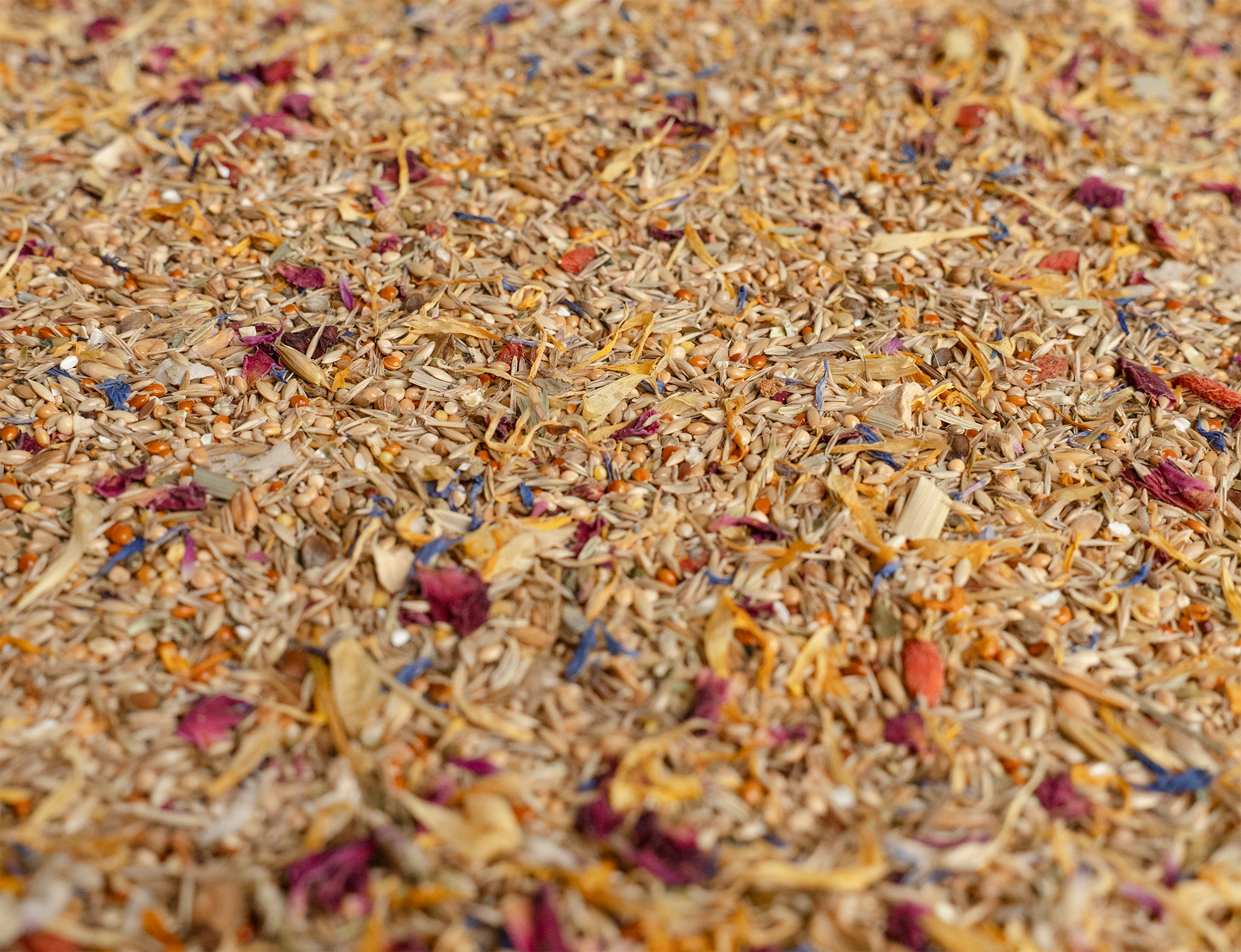 maly_detail_upraveno_01