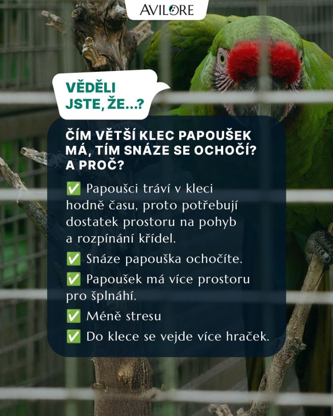 Prostornější klec poskytuje bojácným papouškům více možností úrytu a udržení bezpečné vzdálenosti, díky čemuž se z člověka...