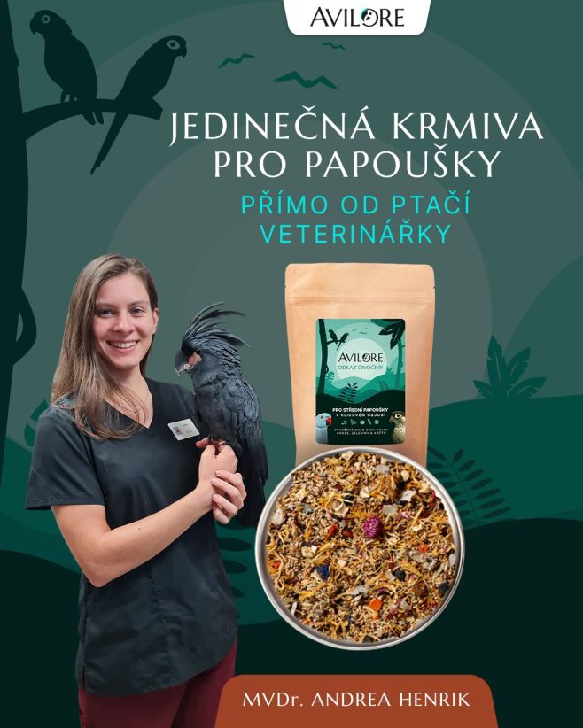 🦜 Již několik let se věnuji ptačí medicíně, tréninku a výchově papoušků. Jako ptačí veterinářka se navíc starám o vývoj...