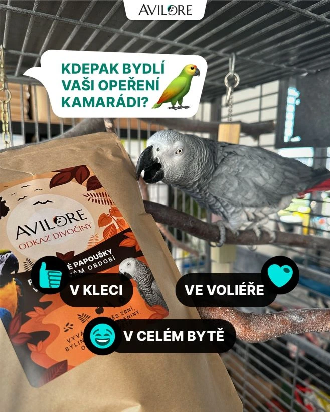 Podělíte se o fotky "bejváků" vašich papoušků? 🎥🦜😍 Z minulého příspěvku už víme, kdo tu všechno lítá, no ale jakou mají...