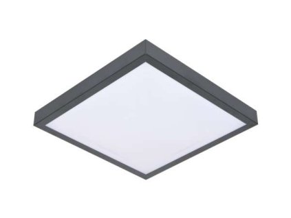Stropné svietidlo VITAL 2xE27/60W/230V antracit