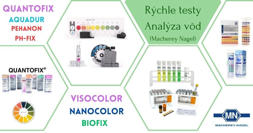 Rapid Tests