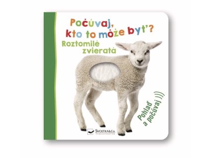 Snímka obrazovky 2026 01 28 214314