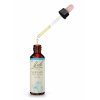 BR 20ml Dropper DE Vervain 02