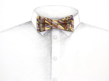 76371.00.3000 60 Landscape of Geometric Fields