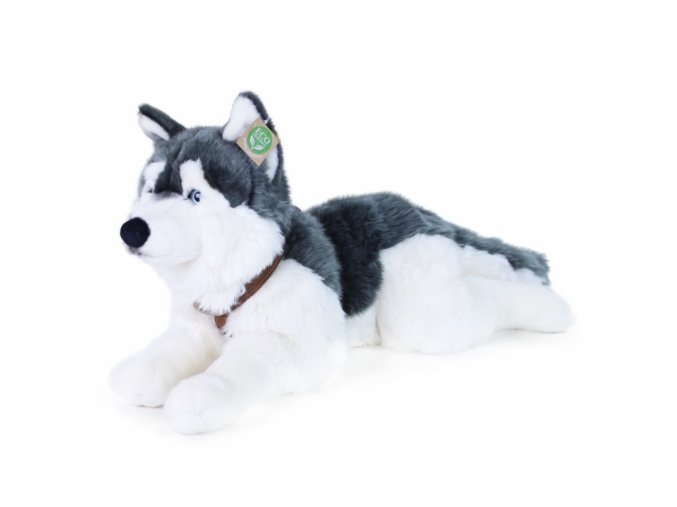 Plyšový pes husky s obojkem ležící 60 cm