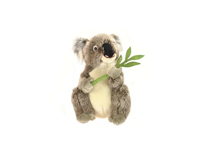 Plyš Koala 30 cm