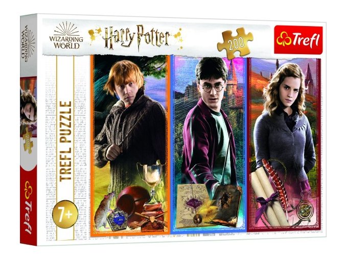 Puzzle Ve světě magie a čarodějnictví/HARRY POTTER 200 dílků 48x34 cm