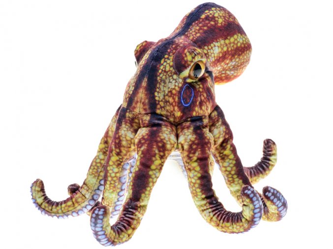 Chobotnice plyšová 26 cm